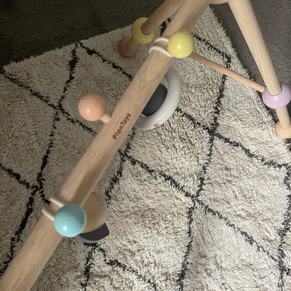 Plan Toys Play Gym - Picture 7 of 9